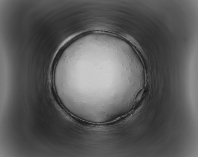 X0000083021028200703021958