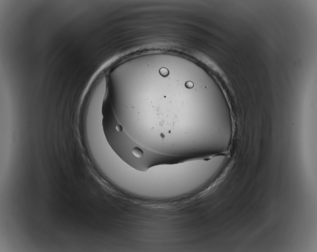 X0000083021029200703021958