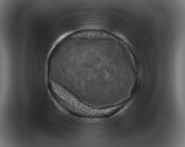 X0000083021030200703021958