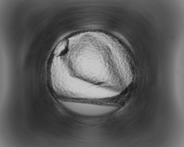 X0000083021031200703021958