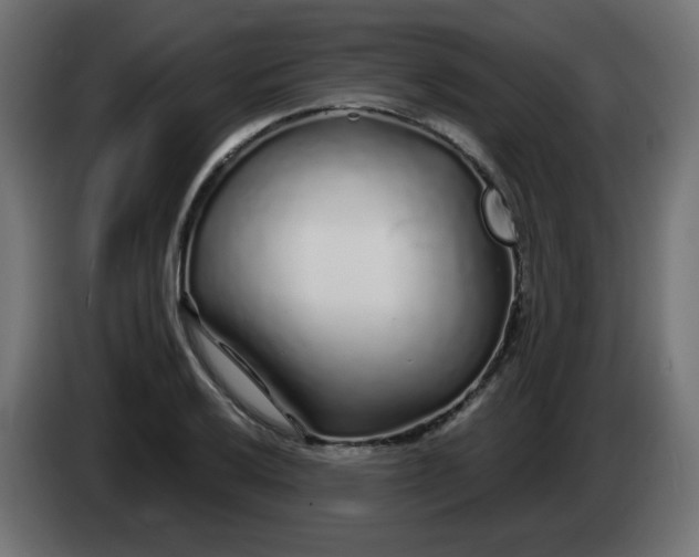 X0000083021032200703021958