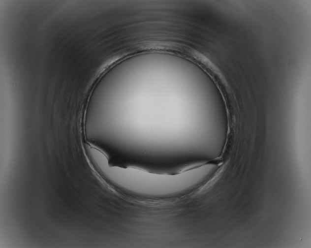 X0000083021033200703021958