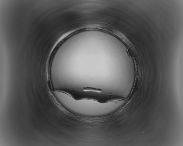 X0000083021036200703021958