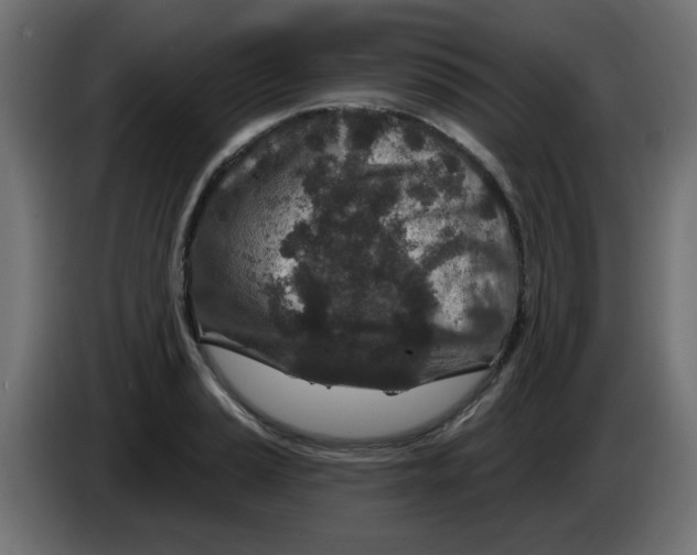 X0000083021037200703021958