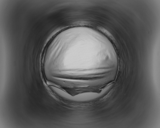 X0000083021039200703021958