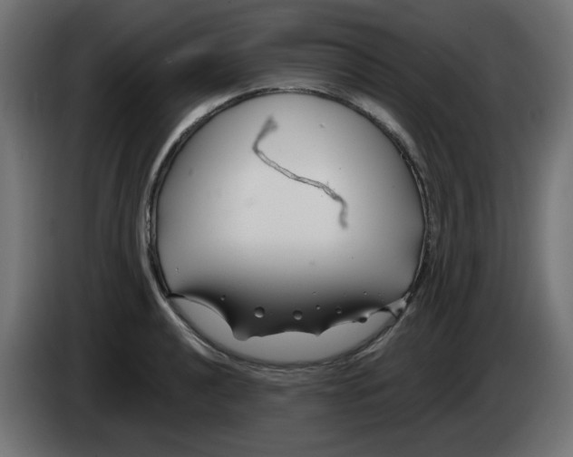 X0000083021040200703021958