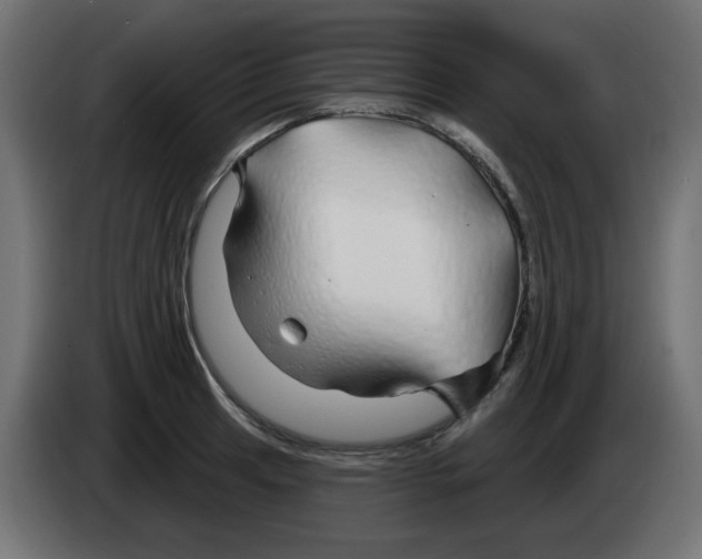 X0000083021041200703021958