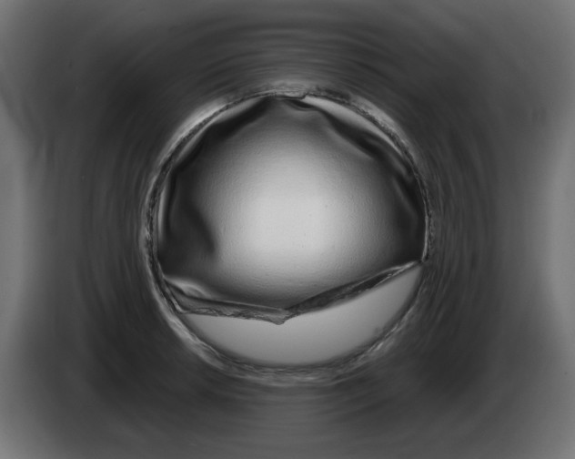 X0000083021042200703021958