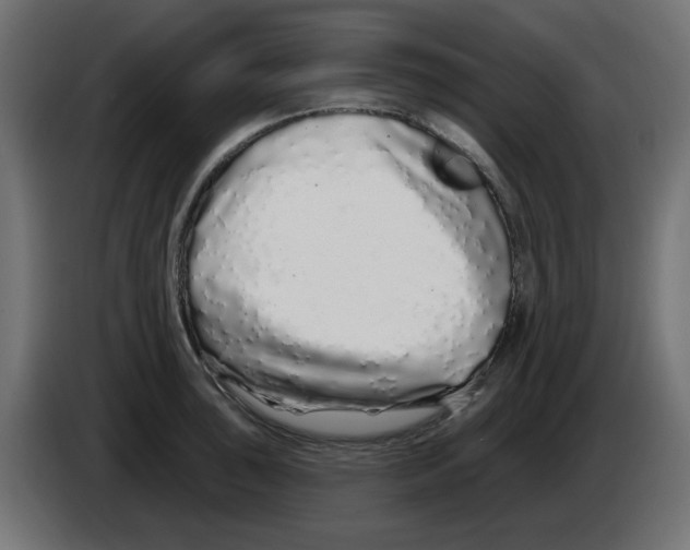 X0000083021043200703021958