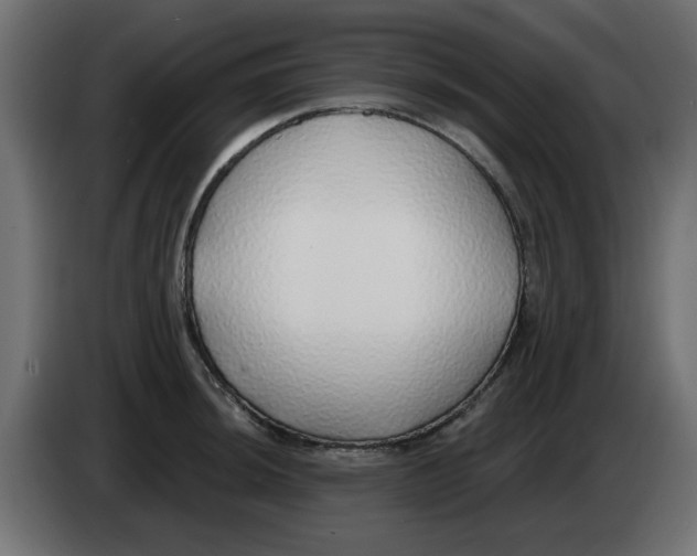 X0000083021044200703021958