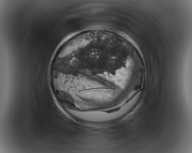 X0000083021045200703021958