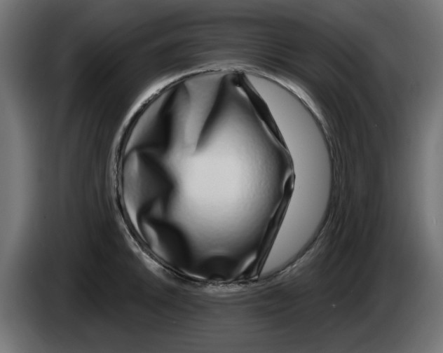 X0000083021046200703021958