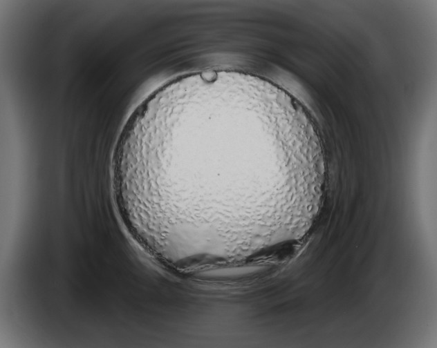 X0000083021047200703021958