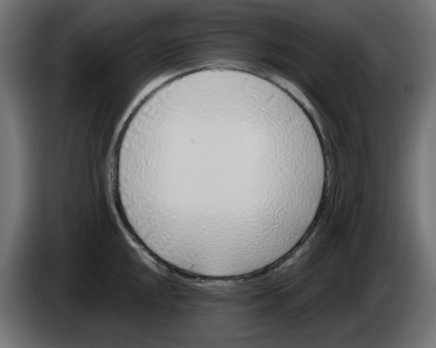 X0000083021048200703021958