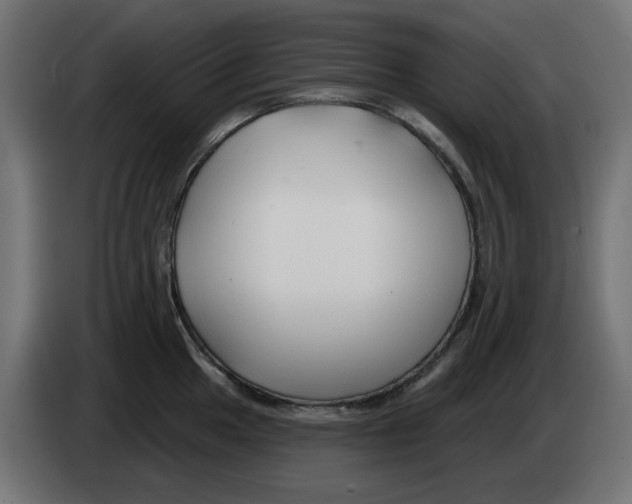 X0000083021049200703021958