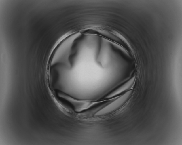 X0000083021050200703021958