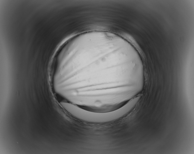 X0000083021051200703021958