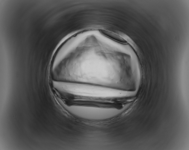 X0000083021052200703021958