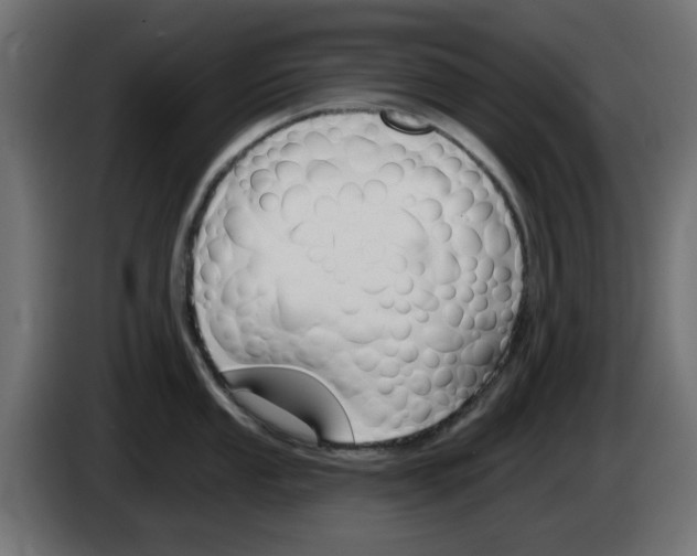 X0000083021053200703021958