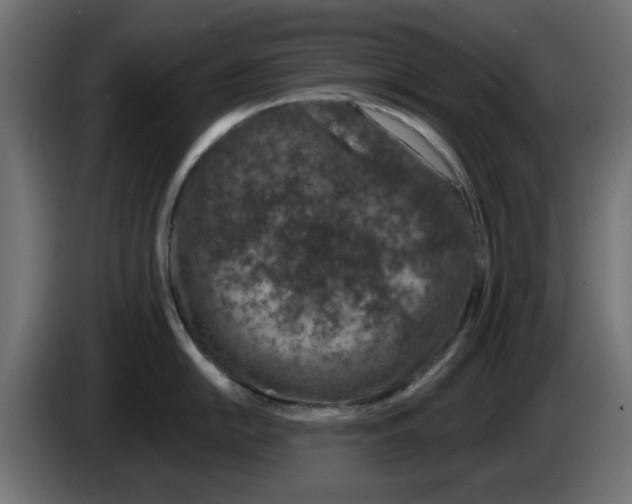 X0000083021054200703021958