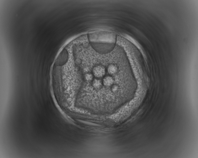 X0000083021055200703021958