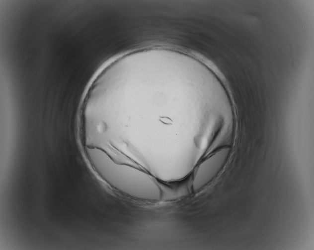 X0000083021056200703021958