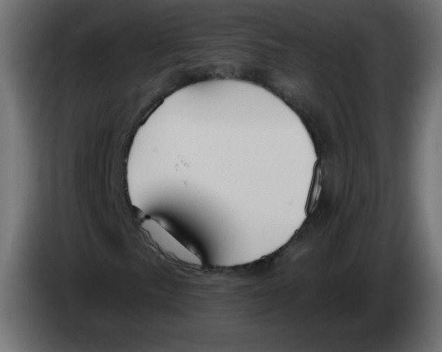 X0000083021057200703021958