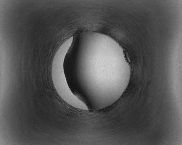 X0000083021058200703021958