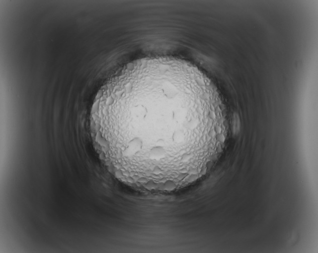 X0000083021059200703021958