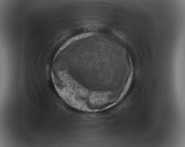 X0000083021060200703021958