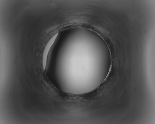 X0000083021061200703021958