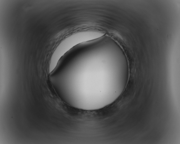 X0000083021062200703021957