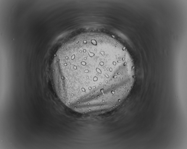 X0000083021063200703021957
