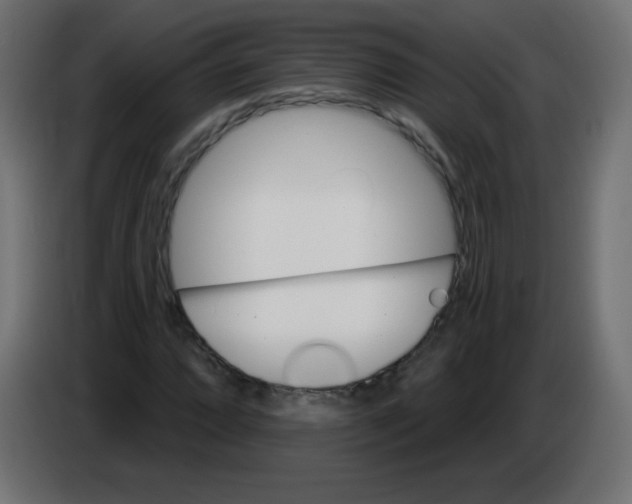 X0000083021064200703021957