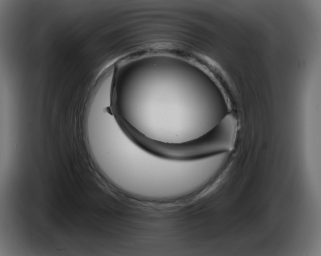 X0000083021065200703021957