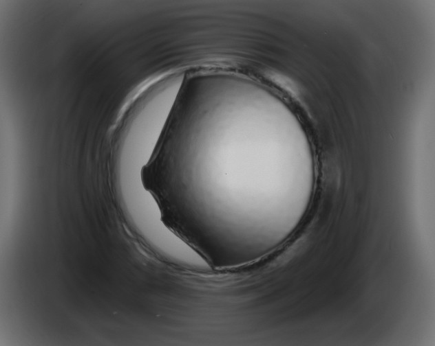 X0000083021066200703021957