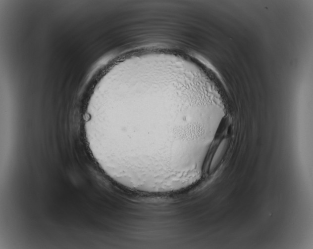 X0000083021067200703021957