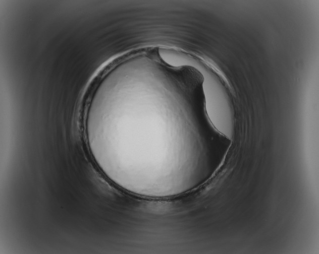 X0000083021068200703021957