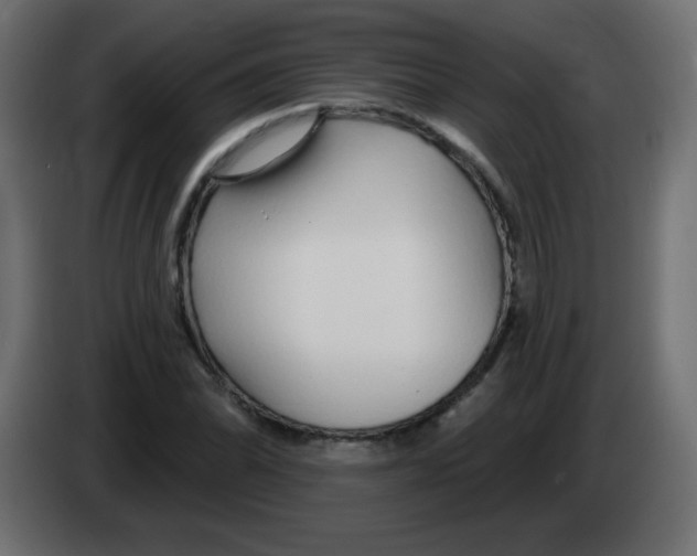 X0000083021070200703021957