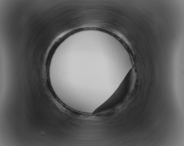 X0000083021072200703021957