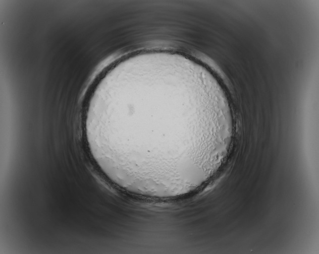 X0000083021075200703021957