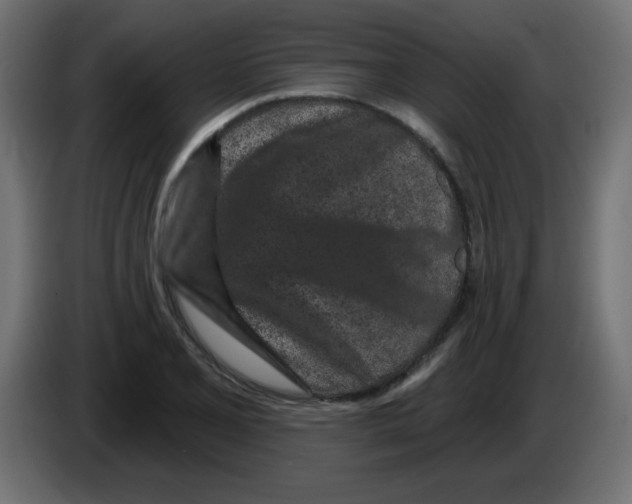 X0000083021077200703021957