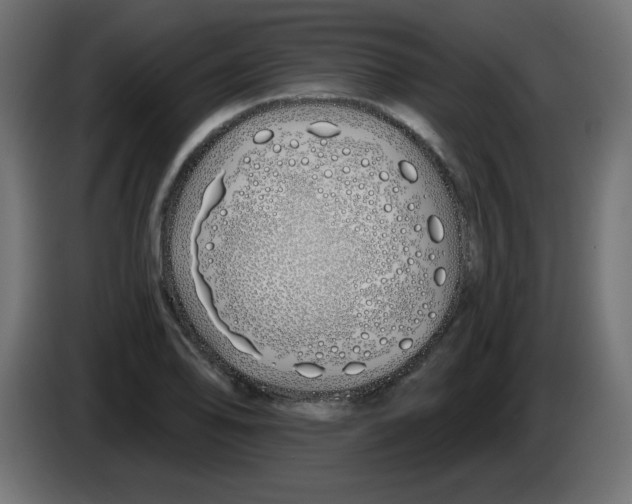 X0000083021078200703021957