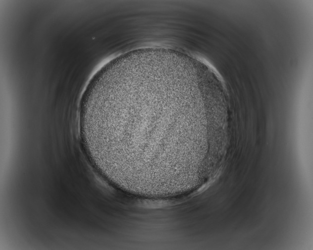 X0000083021079200703021957