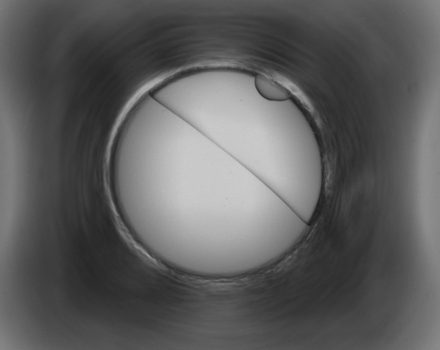 X0000083021080200703021957