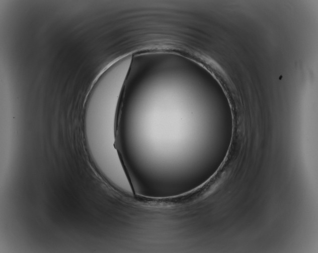 X0000083021081200703021957