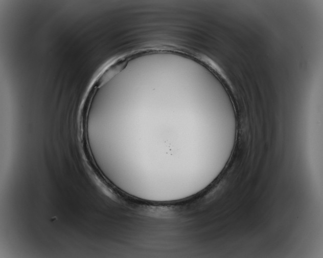 X0000083021082200703021957
