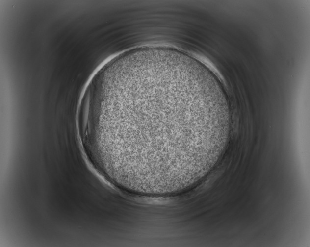 X0000083021084200703021957