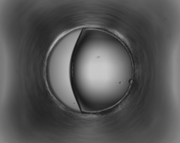 X0000083021085200703021957