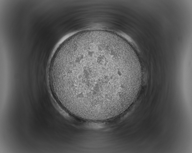 X0000083021086200703021957